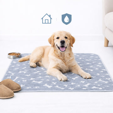 Waschbare Hundeunterlage – Saugstark & Geruchsfrei