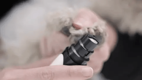 Leiser Pfotentrimmer für Hunde & Katzen