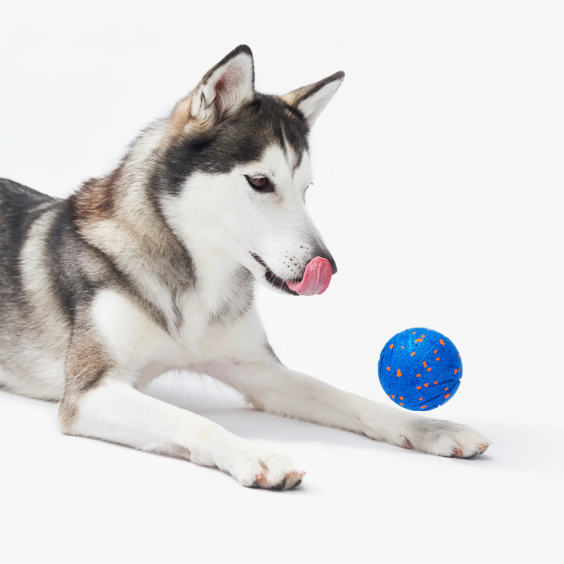 Wicked Ball Air – Interaktiver Smart Ball für Hunde